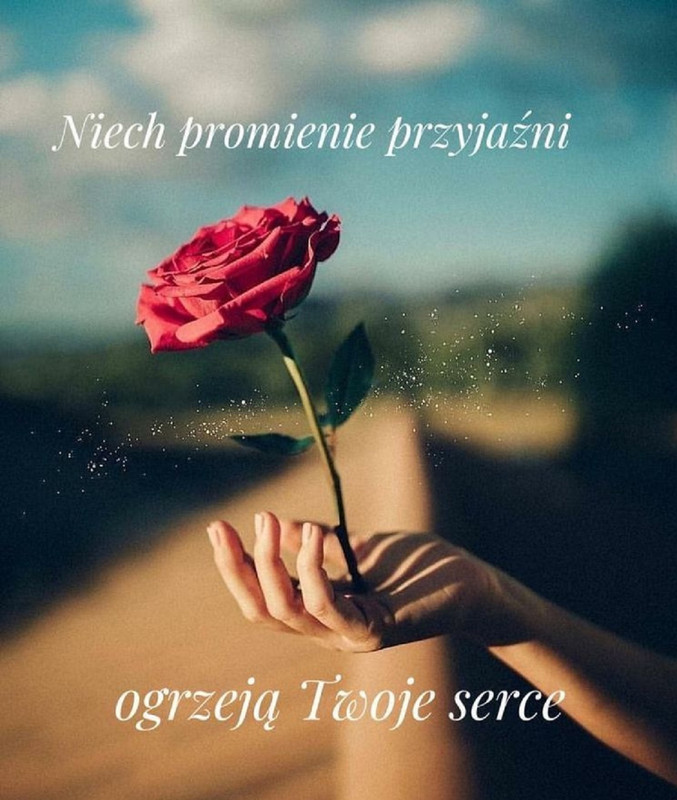 Niech-promienie-przyjazni-ogrzeja-Twoje-serce