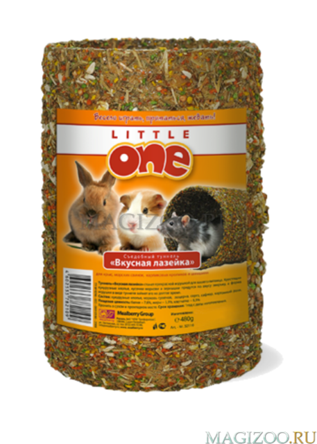 LITTLE_ONE_TUNNEL_LARGE