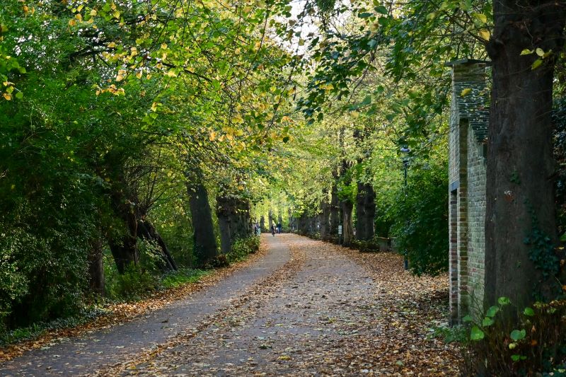 Otoño en Flandes - Blogs de Belgica - Día 2: El otoño en Brujas (9)