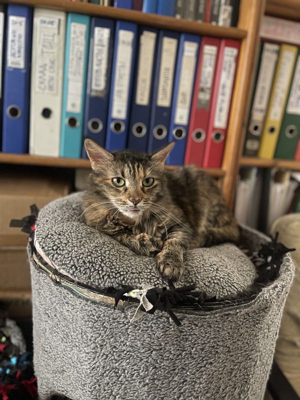 F936C8F5-041B-4F87-A7FB-A56248DC9D93