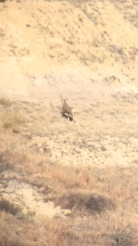 82605A38-0549-4F39-A2A9-F47080802159