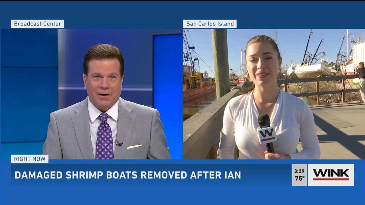 01.06 - 20.00.00 - WINK News at 3pm  ᴺᵉʷ..ts_snapshot_00.31.25.211