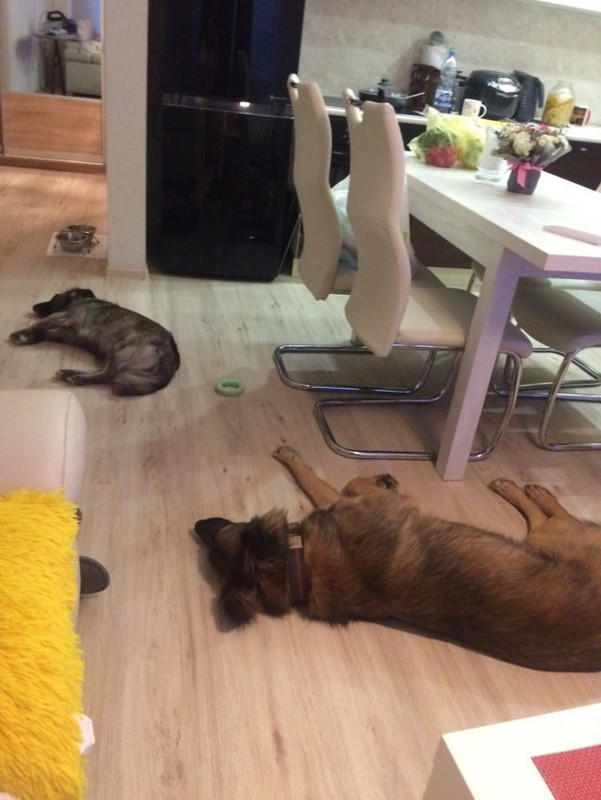 309633D7-AE98-4F5E-A55B-B292CD9952A8