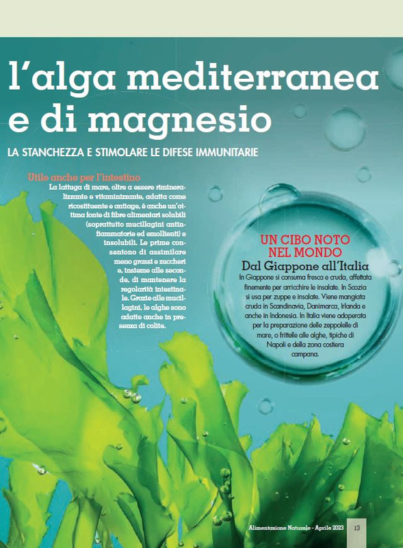 Alim Nat Apr 2023 (2)