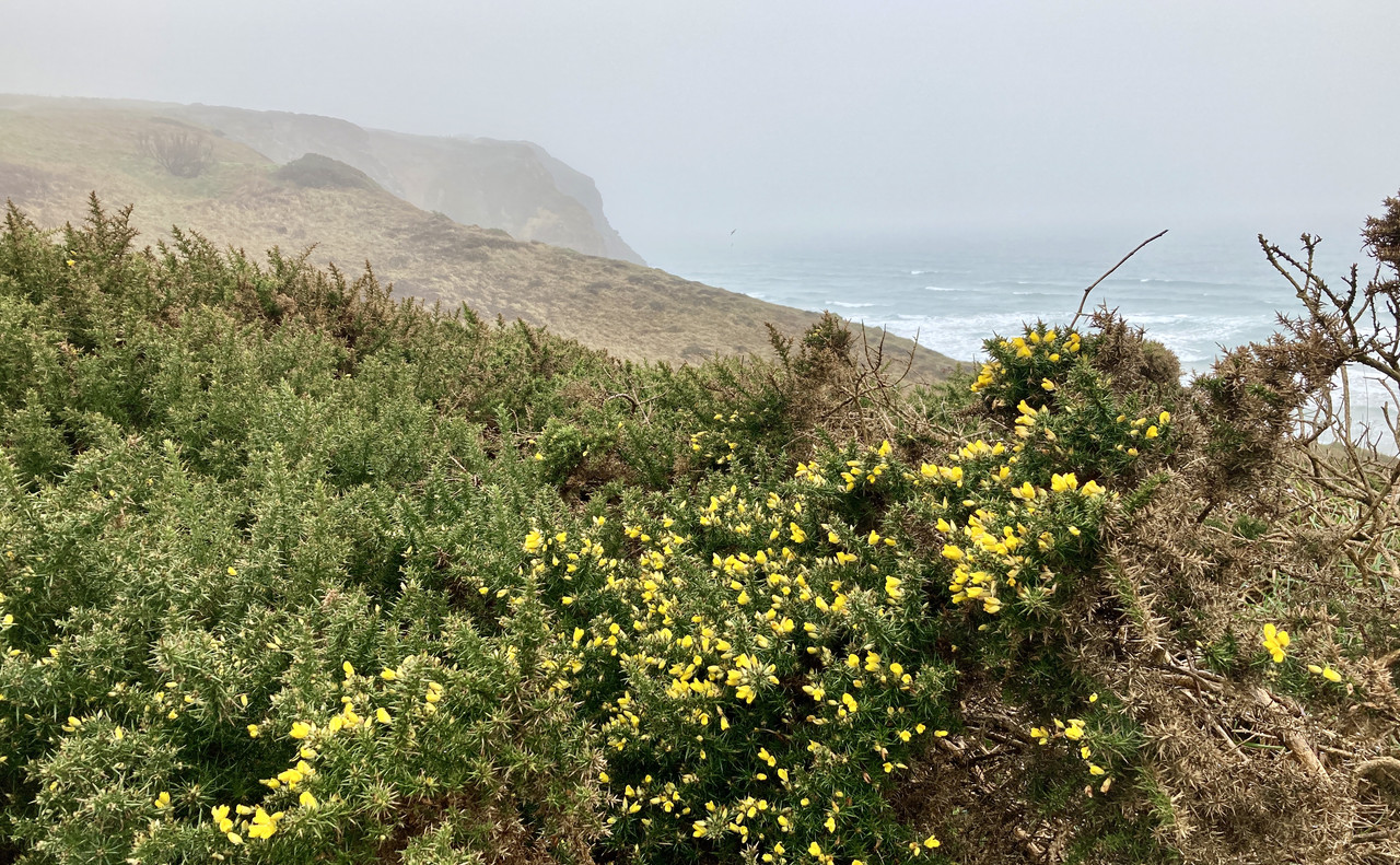 9701A02B-CCB6-4E01-BA79-D0C1C4367DD8