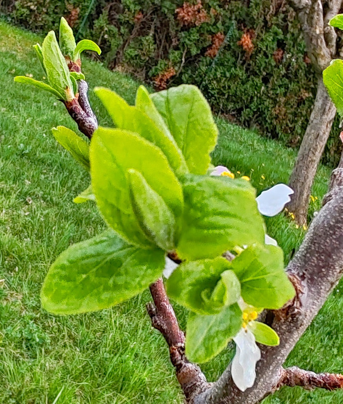 IMG 20260413 190800bb