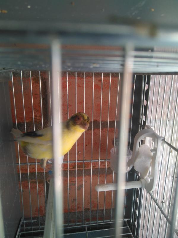 770508f8-e4ca-4018-b745-c98077963689