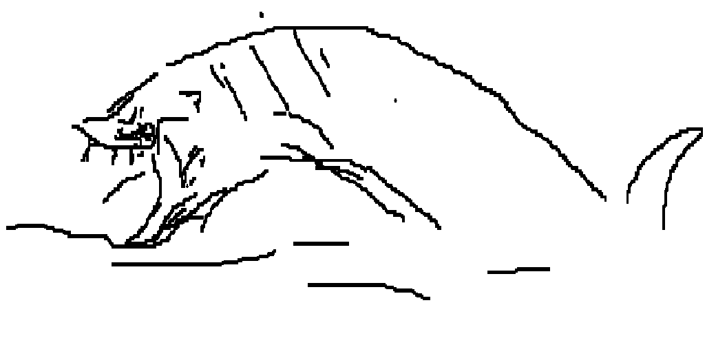 Mako