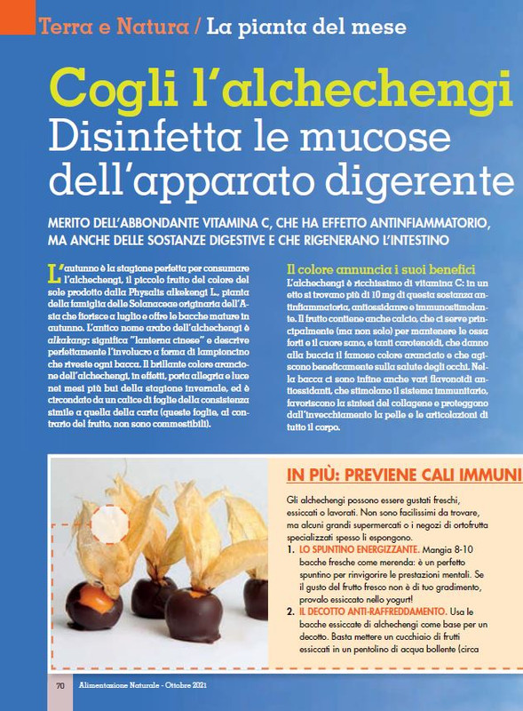 Alim Nat Ott 2021 (9)