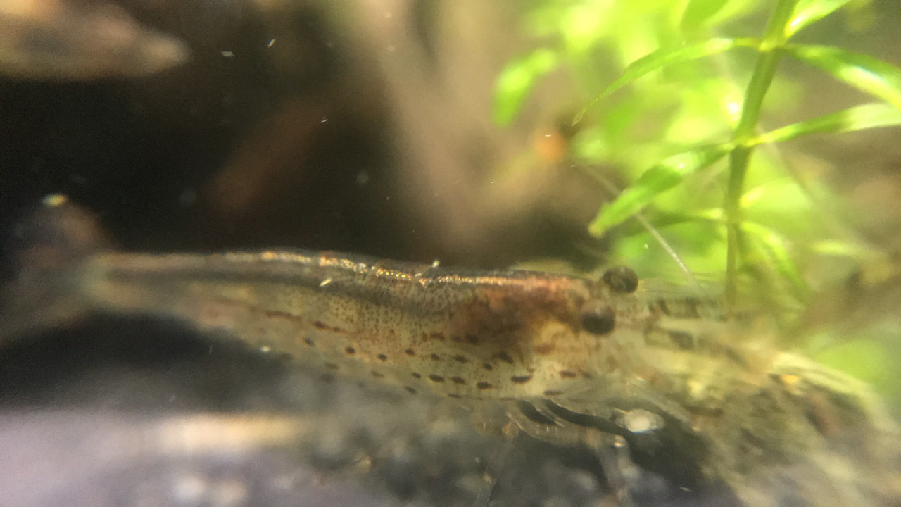 550D0A02-14F1-41B7-A43D-BDEDB6B4227F