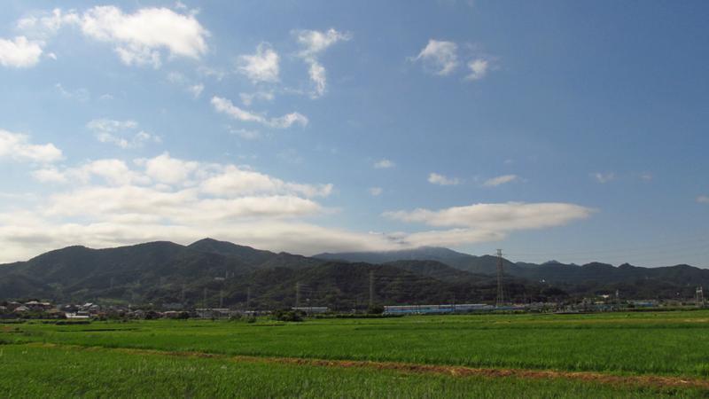 IMG-0985
