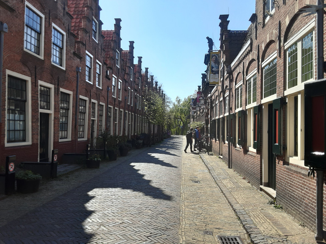 20250412-115424.jpg