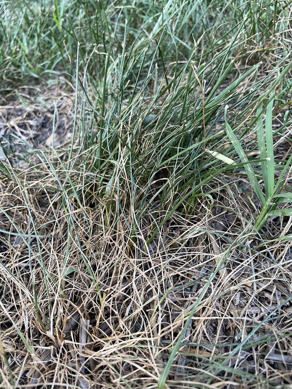 1FB65EA4-3C3A-4099-90D5-0B2884E17AF4