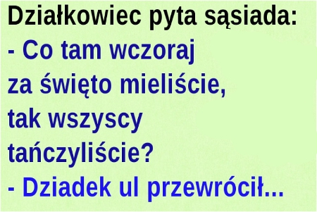 humor-2.jpg