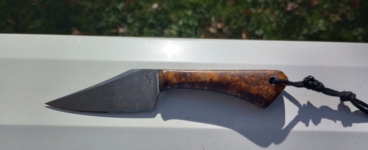 IMG_20231120_122712248_HDR_1