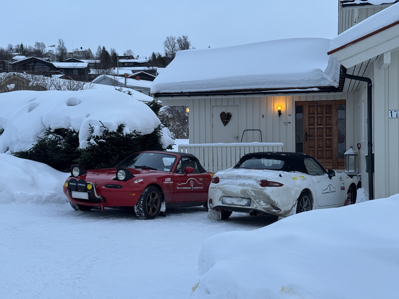 [Immagine: IMG-8136.jpg]