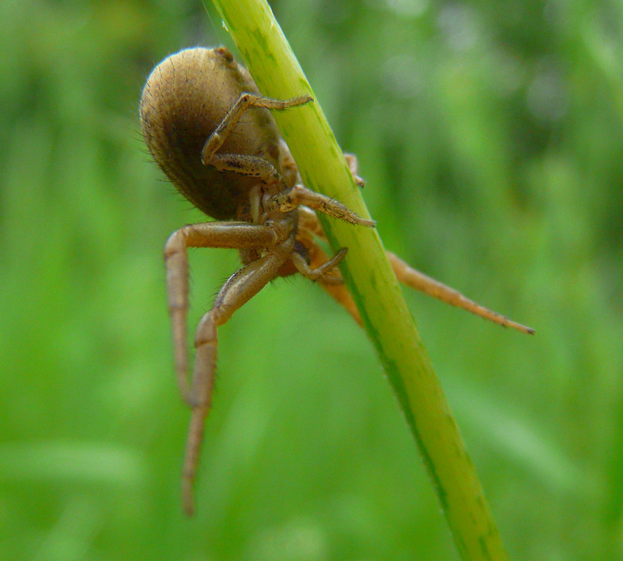 P1520517-1... (1024)