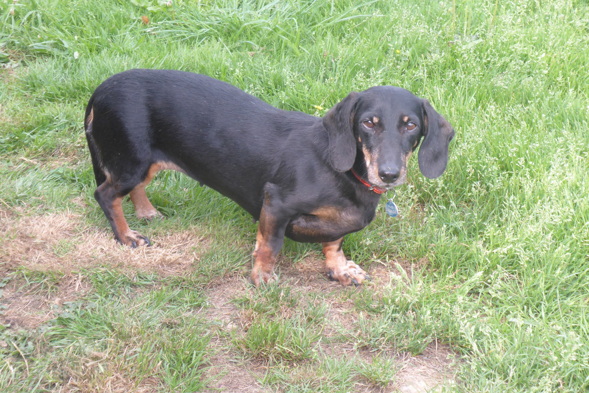 [Image: P1030802.jpg]