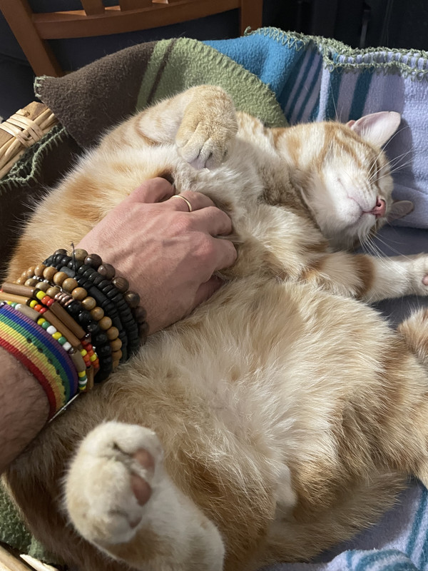 2BBA18ED-25CA-41A5-BA1A-57601B098501