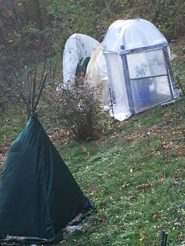 BA64B031-2144-4C5D-A0FB-711FFCEBBE07