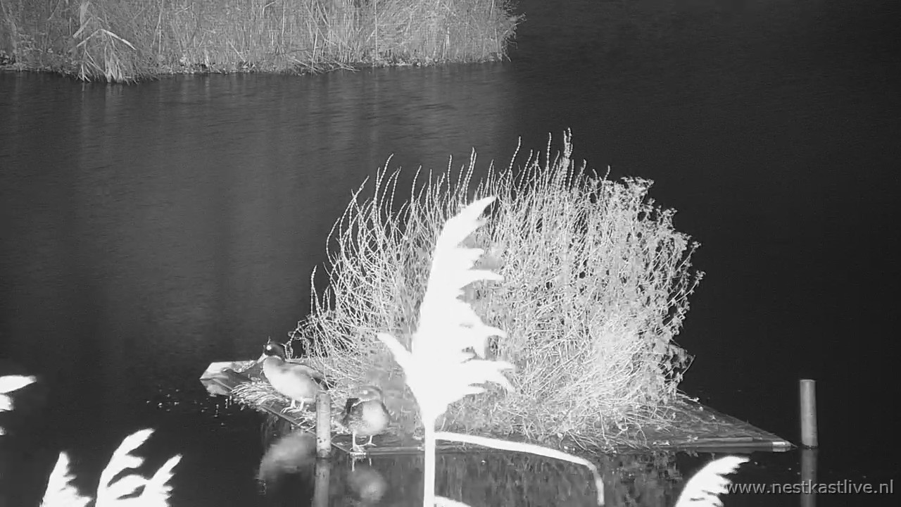 snapshot 2025 12 23T005814 102