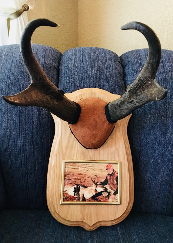 WY antelope 2017