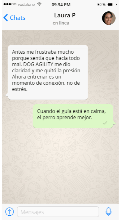 Testimonio tutor 2