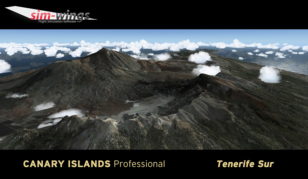 canary-islands-prof-tenerife (12)