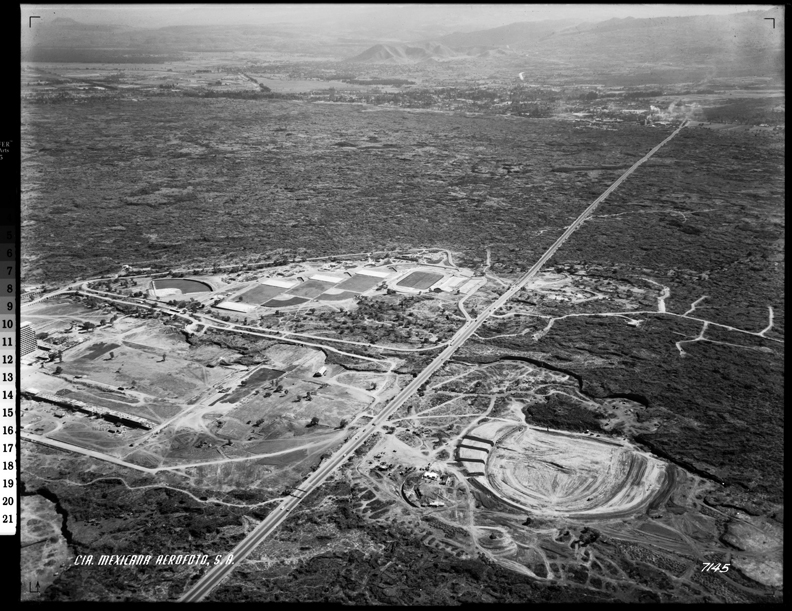 FAO_01_007145
