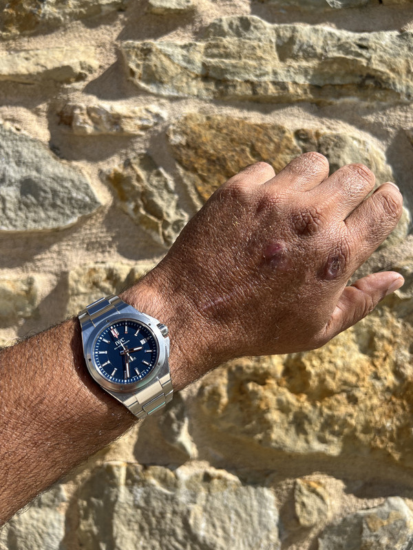 3AB8B589-542B-4DD1-BCDF-613737E49219