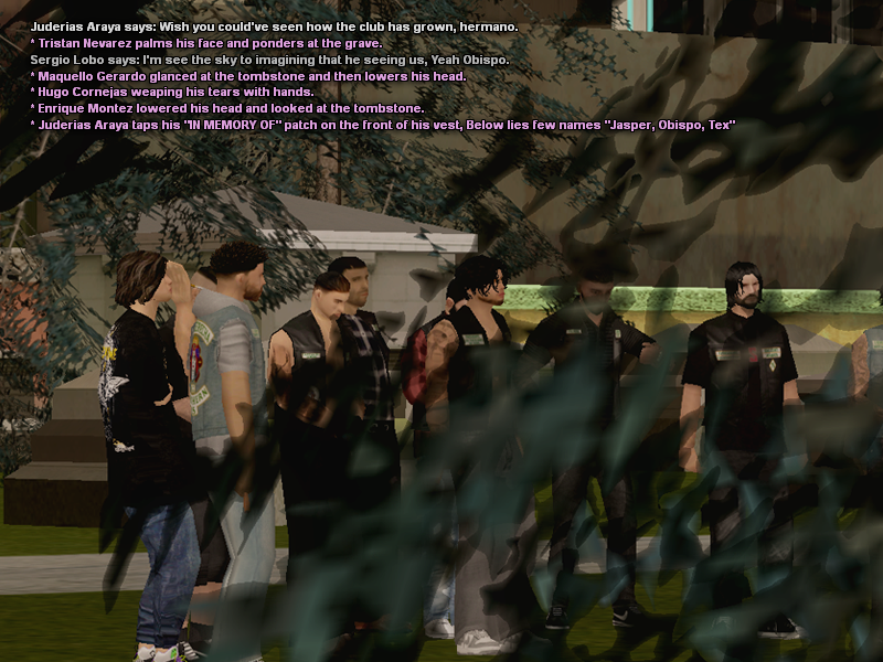 P1.png