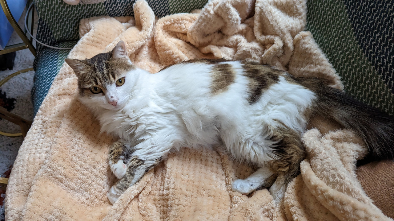 PXL_20230114_151105729