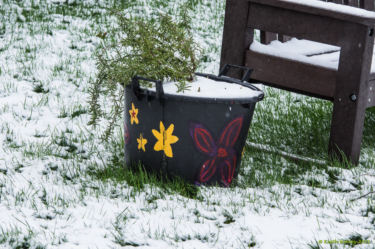 Painter pot 1