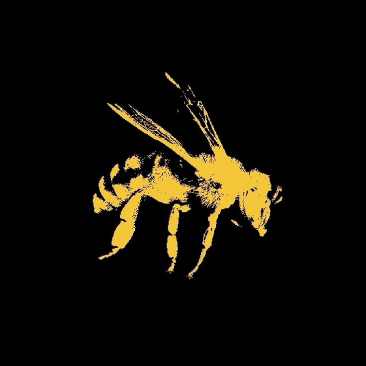L'abeille cool, la succursale Dalyoha qui se lance au défi de polliniser le wasterland