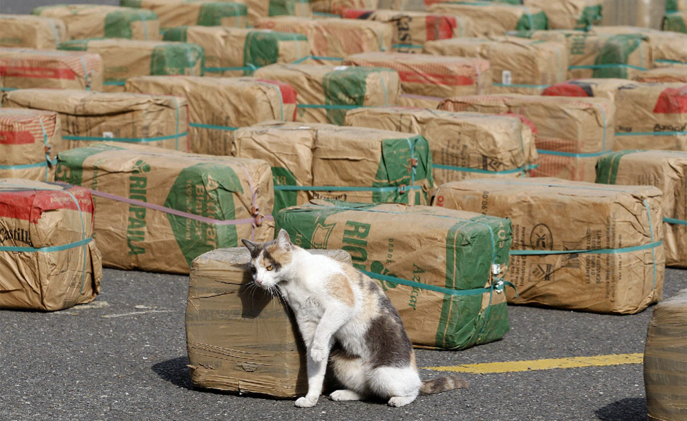 tumblr_lzhdctbx0S1qb6cnho1_1280