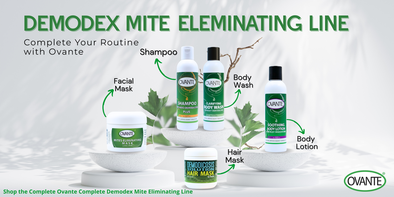 Copia de Banner Ovante