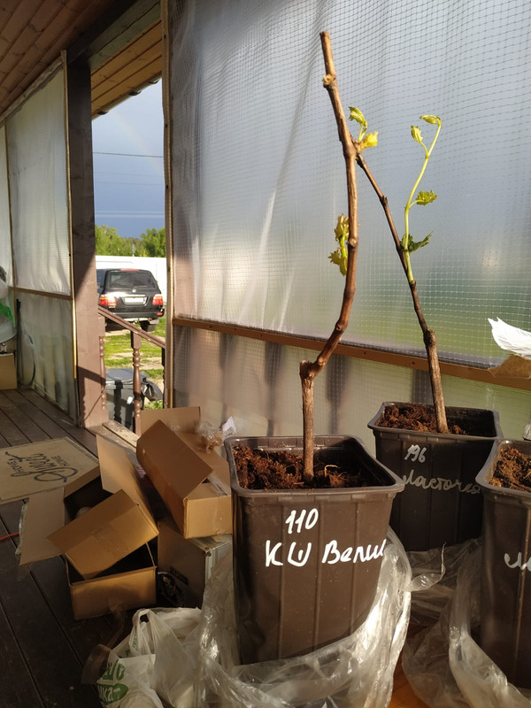 PHOTO-2022-06-01-19-31-57 (3)