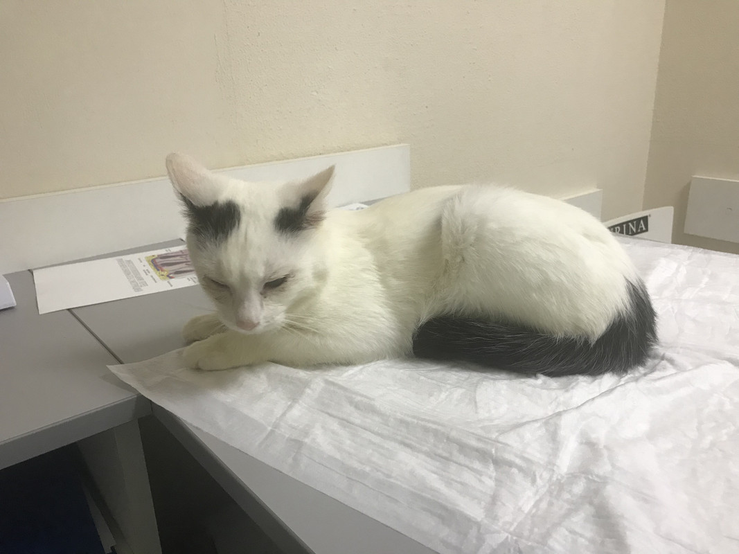 B2241D67-9FEA-4897-89C0-1D069E9E8C89