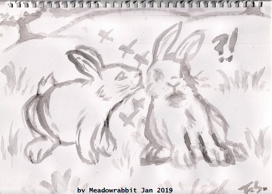 BluebellxBlackberryx