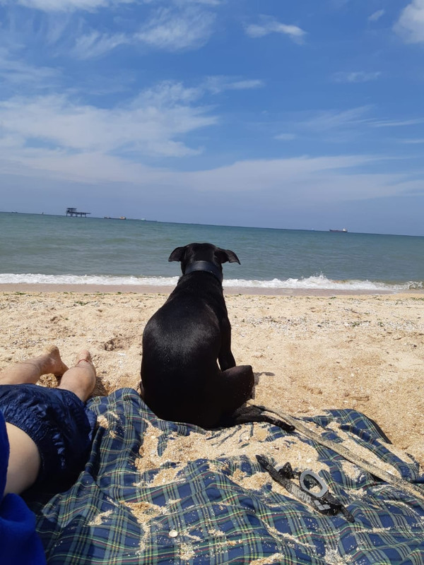 EBD07969-713C-4481-A5A0-B87E199F8E16