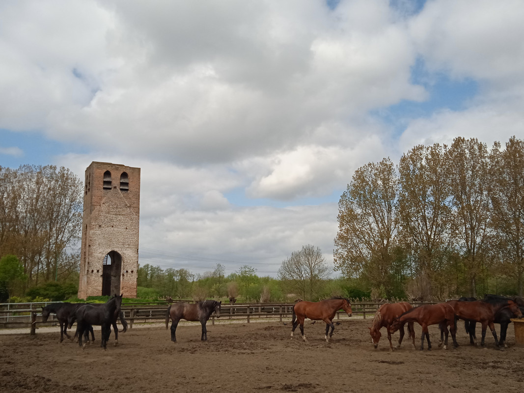 0674DC89-D794-42BC-B20C-D2CDC379B892