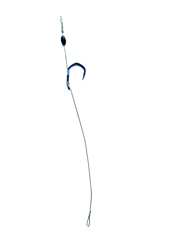 8A7B181F-DB3B-4C67-8F9F-B631A02AD43B