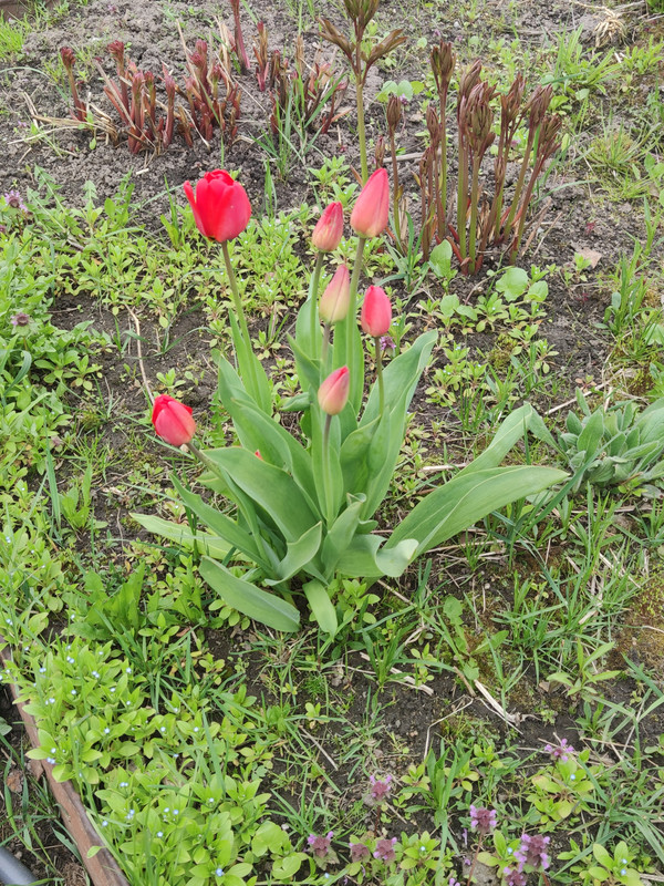 IMG-20220512-162147.jpg
