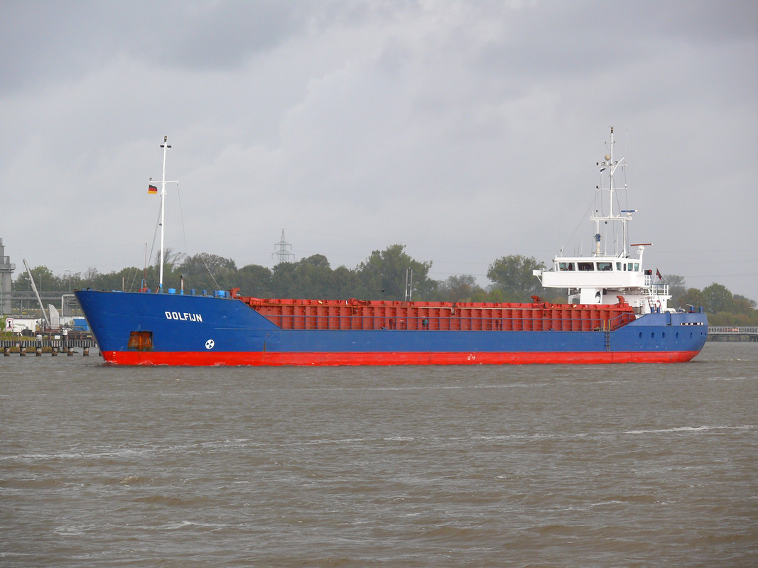 Dolfijn (OK-191010-1)