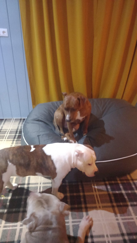 4A0A7BC5-63C7-4D20-BD64-CBBC518E29A3