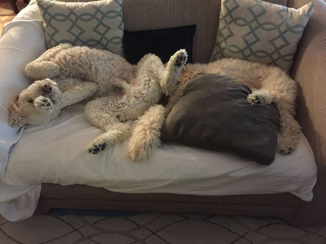 E1204F7E-D0A8-40CB-A4BD-4BACB943E9D1