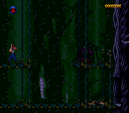 Blackthorne (USA)_010