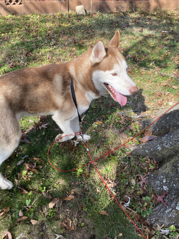 2DF6A8DB-F189-4B79-BDB2-3440B2CC0BD6