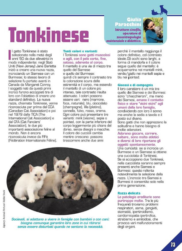 Foc Wil - Lug 2024 (8)