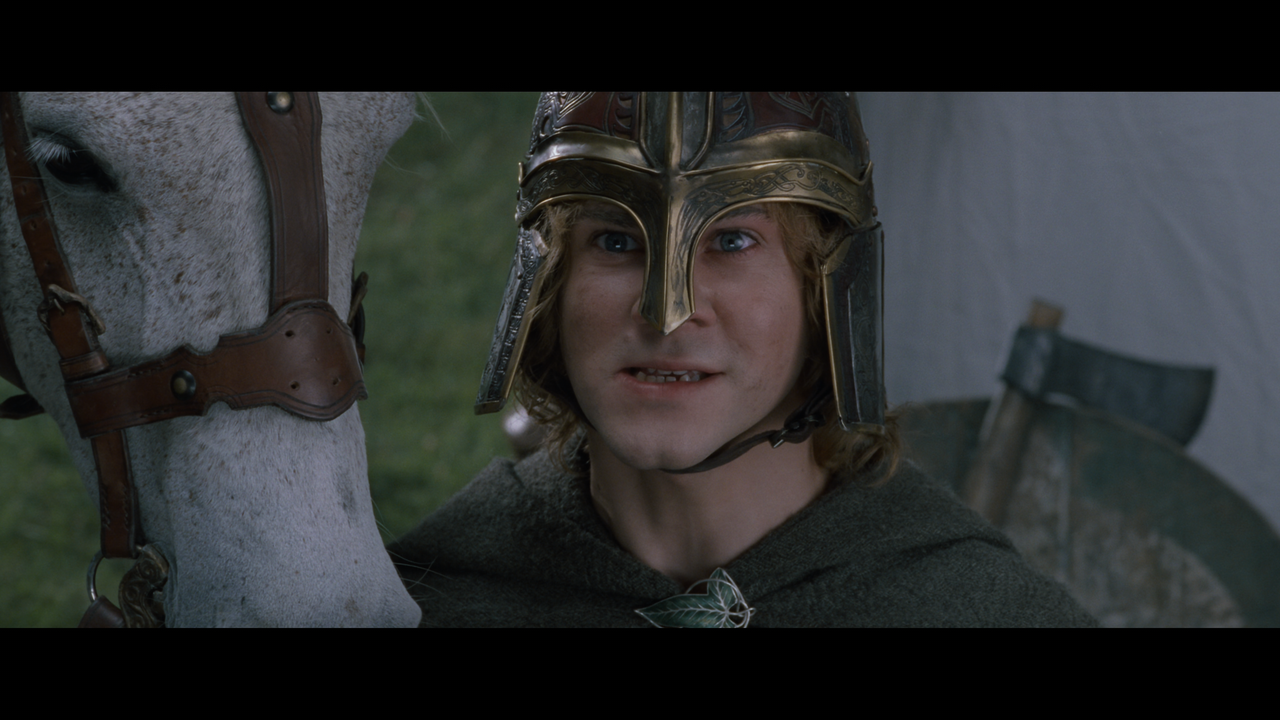 The Lord of the Rings- The Return of the King (EXT.) PT. 1.mkv_snapshot_01.50.04_[2020.12.19_20.58.3